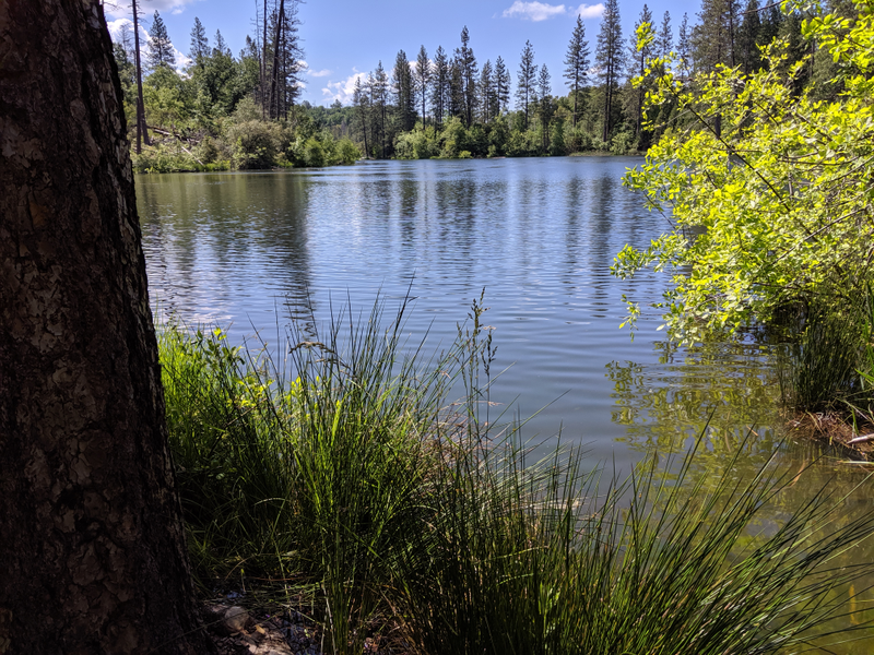 Illustration for article titled Manzanita Lake
